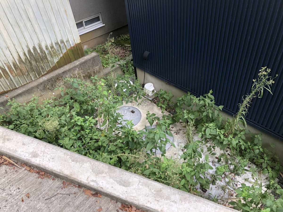 砂利に生えた雑草に除草剤がめちゃくちゃ効果的だった ユメオの新築一戸建て購入ブログ